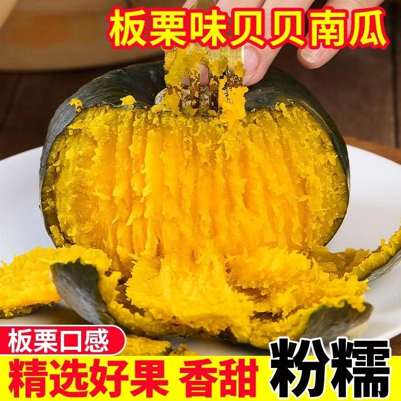 【粉丝福利】正宗贝贝南瓜板栗南瓜粉糯香甜板栗味可作宝宝辅食