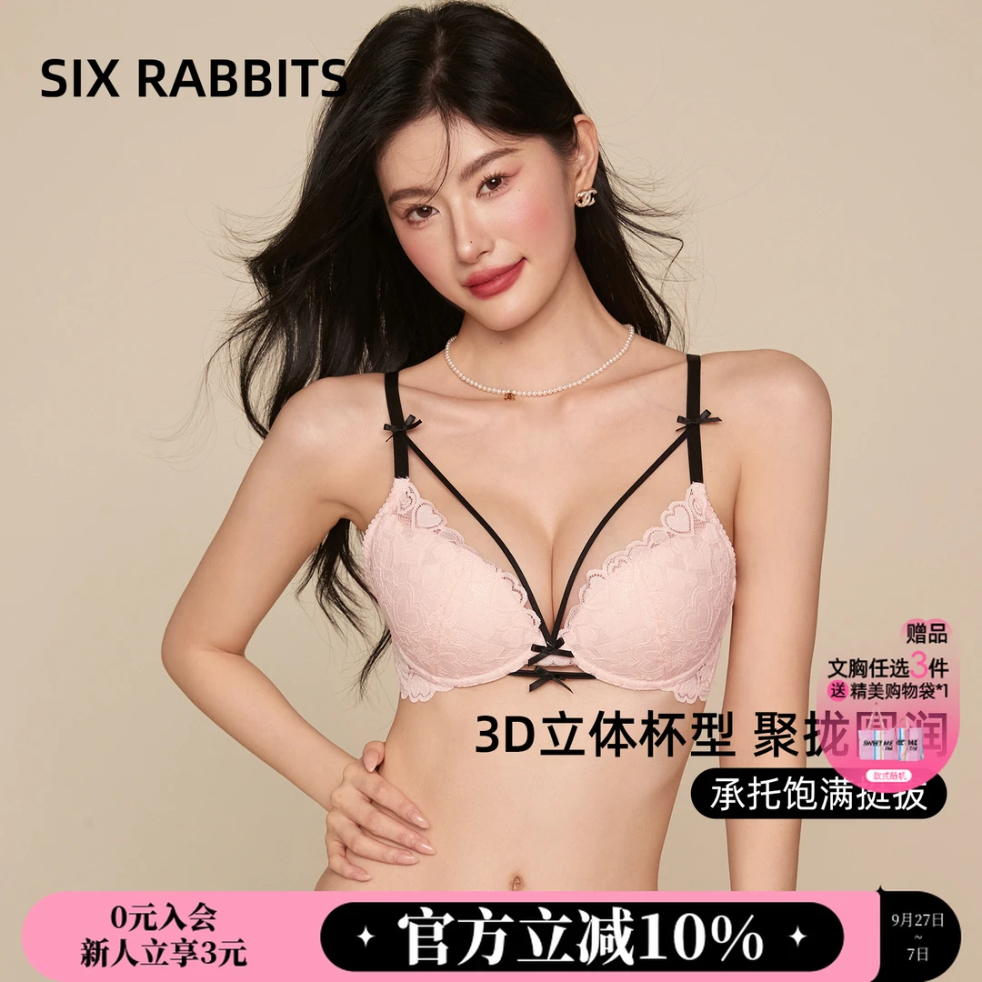 六只兔子聚拢蕾丝内衣女性感纯欲风小胸显大透气小胸聚拢型女文胸