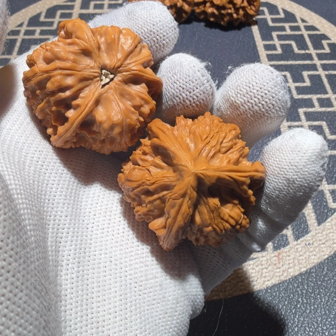 把件文玩核桃御龙正奔