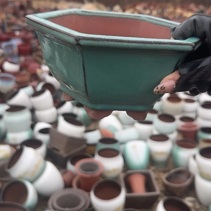 紫砂和花都区三家乡之一