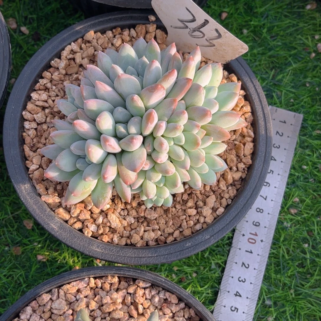 王***儿363dghhjjjjjhhjjjj