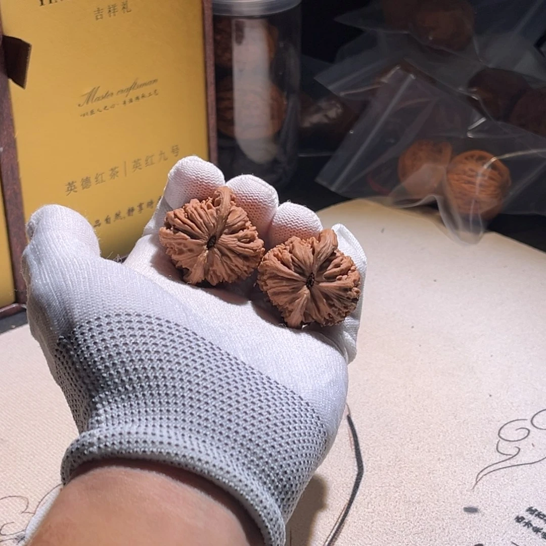 G***o楼子楼子某种某种某种