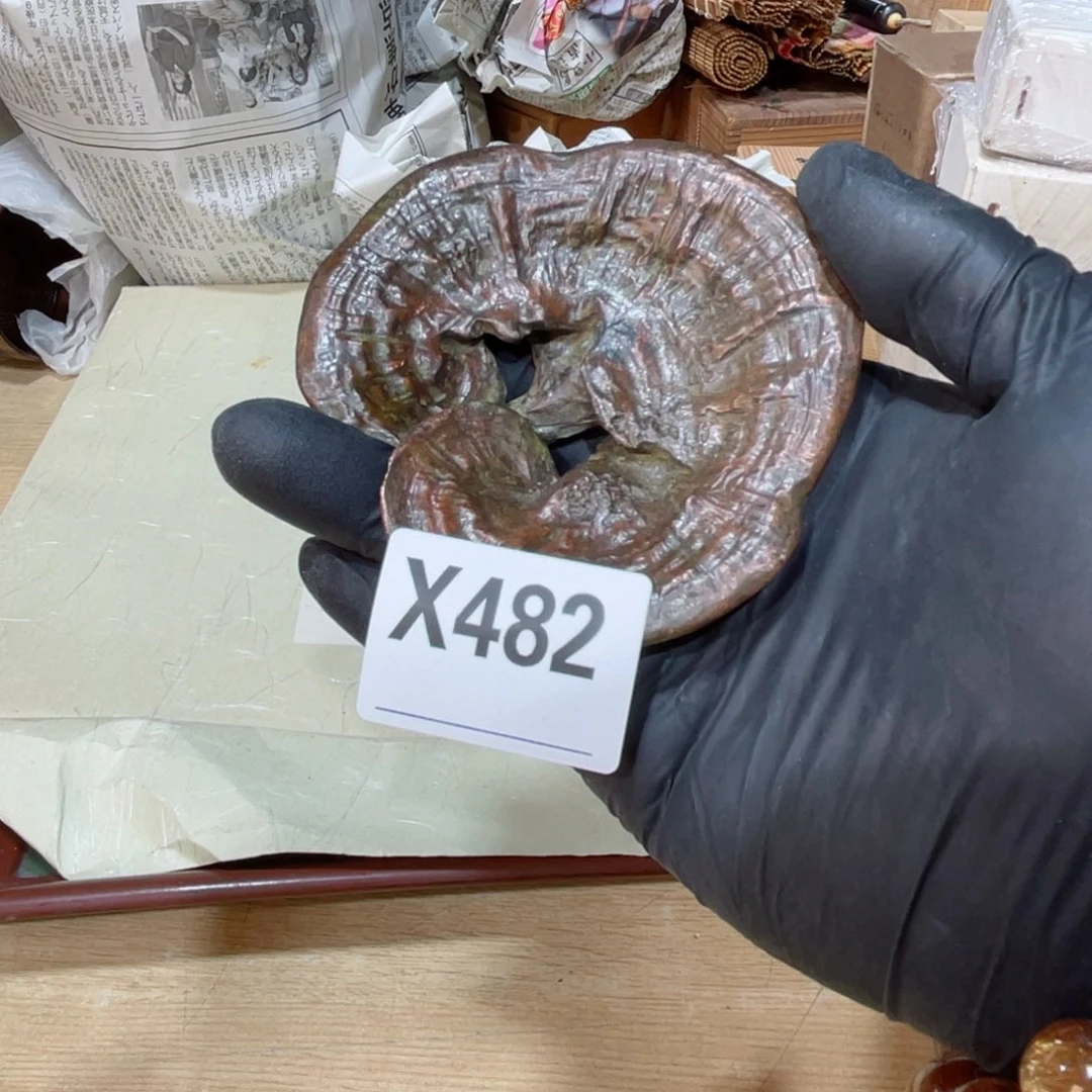 你是我老同学的情人