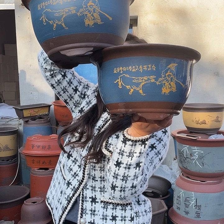 30+30蓝放牛娃平角金钟花盆紫砂