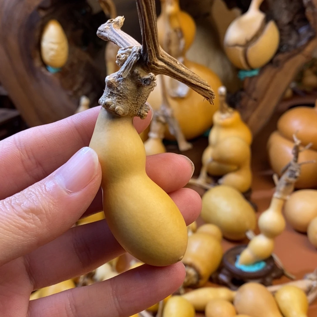 ****，教练教练教练教练教练教练