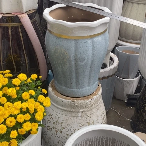 低腰花口金边蓝南瓜中 口26/34