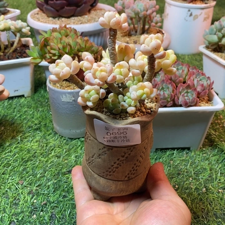 0696啊啊啊啊啊啊啊啊啊