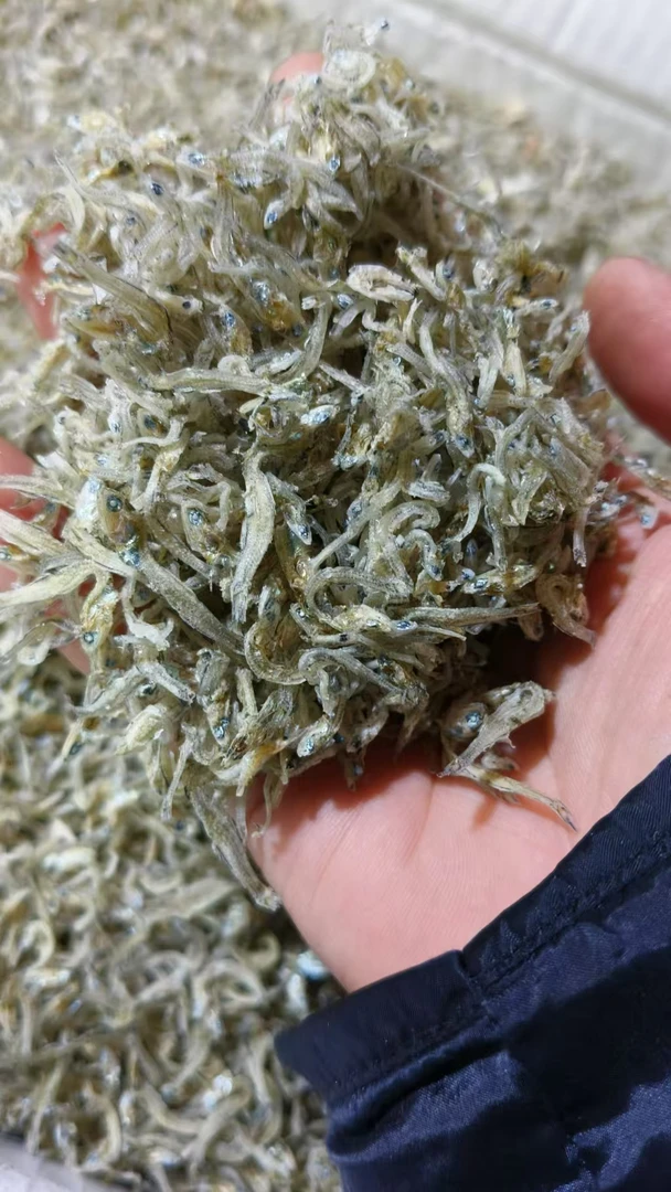 舟山小小丁香鱼小银鱼干 海鲜干货