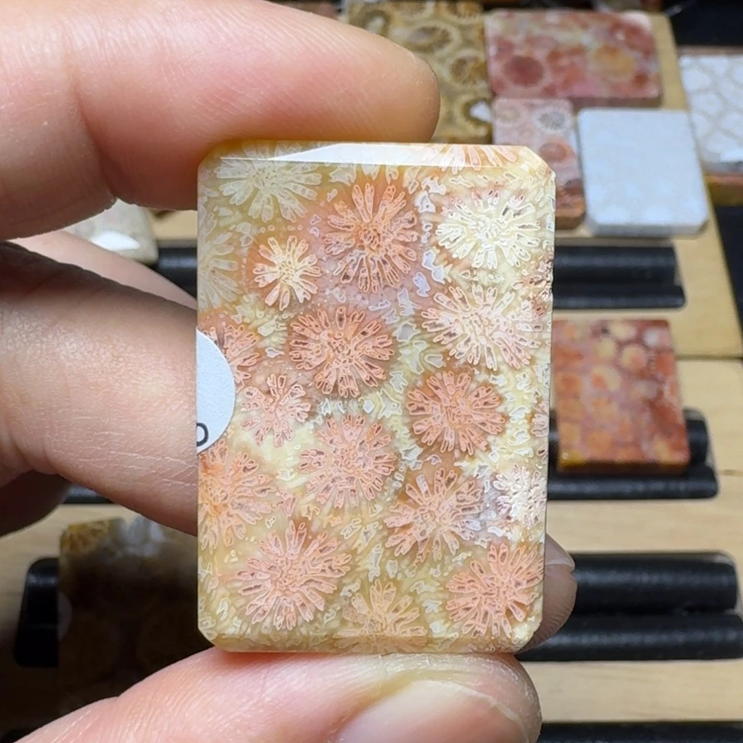 硅化玉纯天然色有机玉石未镶嵌