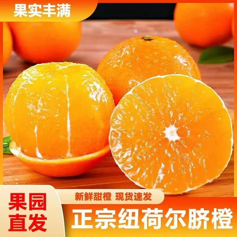 高山脐橙四川纽荷尔齐橙当季新鲜水果现摘手剥脐橙净重8.5斤以上