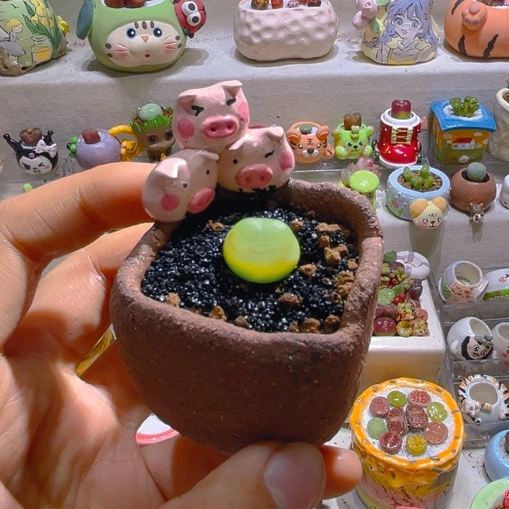 033高端多肉拉登1.5厘米带盆土一套88