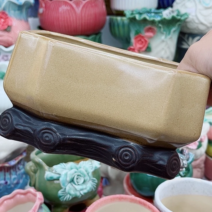 多肉植物陶瓷花盆