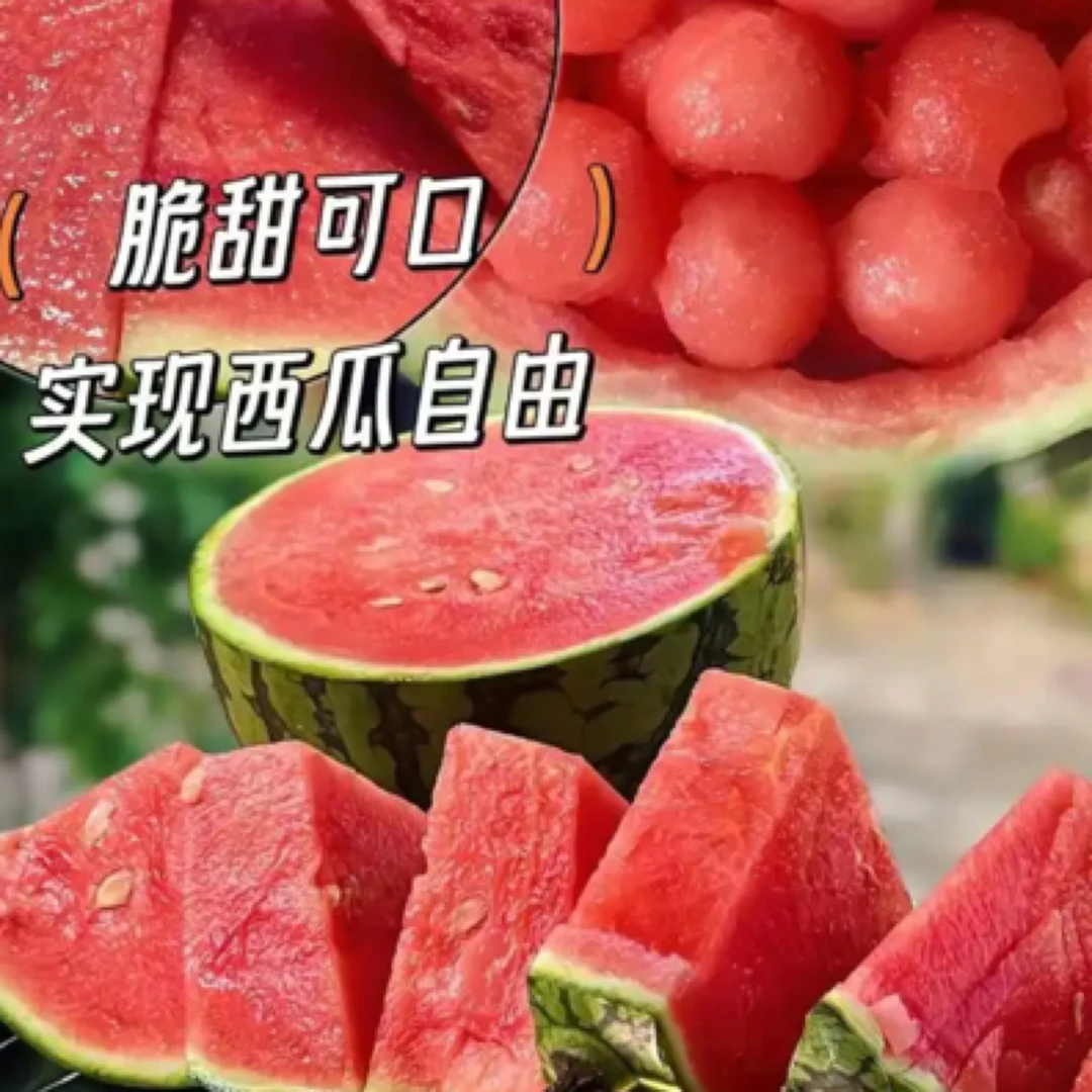 无籽麒麟西瓜  35元一颗约10斤多西瓜同城配云南省