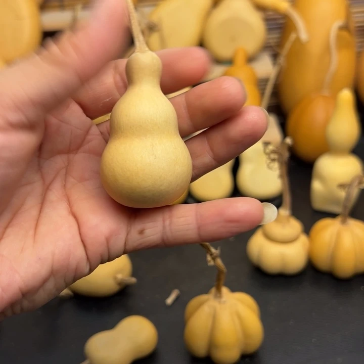 布*噜36666666666666666666