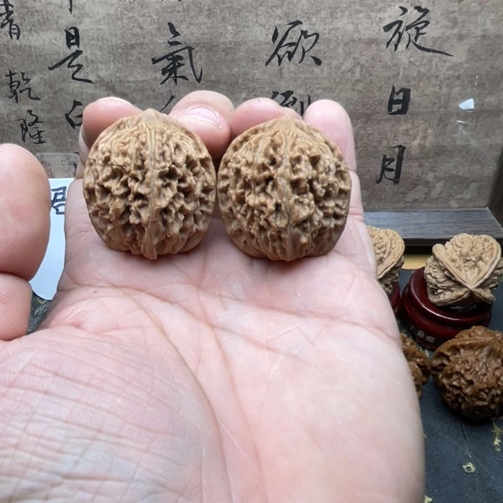 今日拍品推荐110号