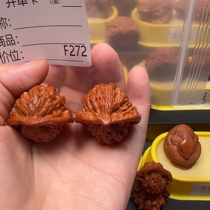 A***A核桃蛇王蛇王蛇王33