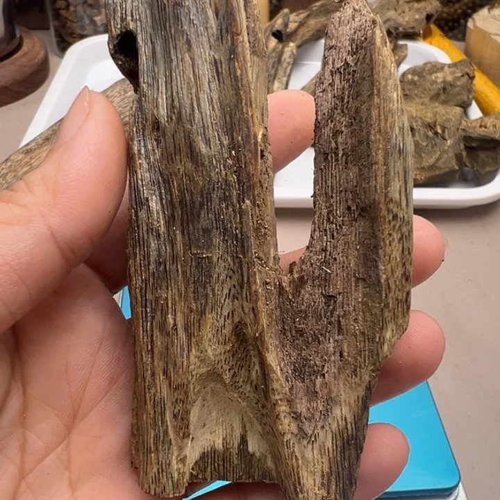 棋楠沉香高油虫漏39克