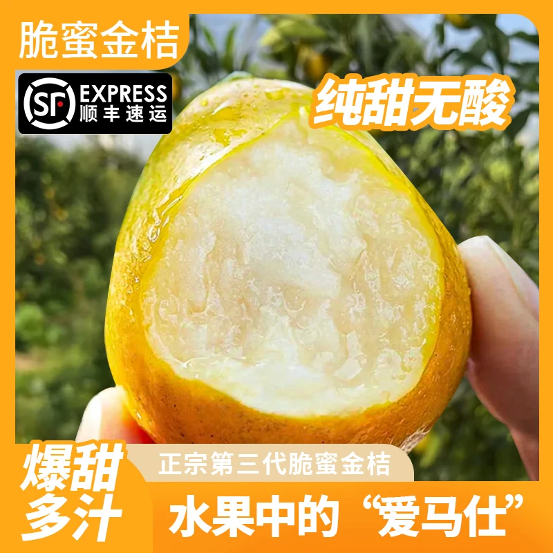 【第三代】正宗广西融安脆蜜金桔皮薄多汁甜度高果园现摘现发顺丰Qp