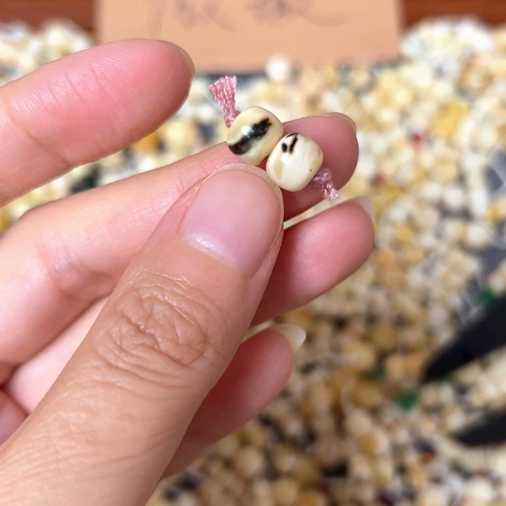 蜜蜡未镶嵌裸石7.4mm一对