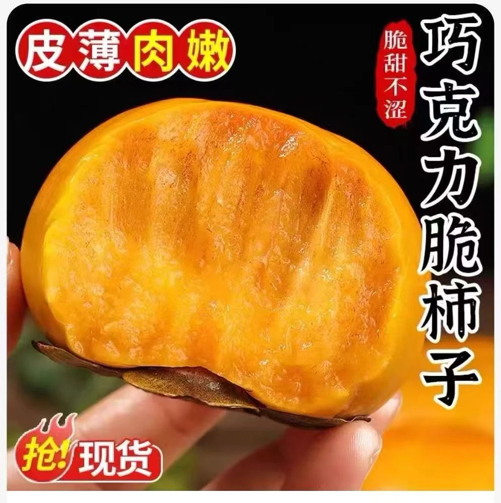 山西正宗巧克力脆甜柿子水果柿子现摘现发纯甜不涩口包邮应季水果