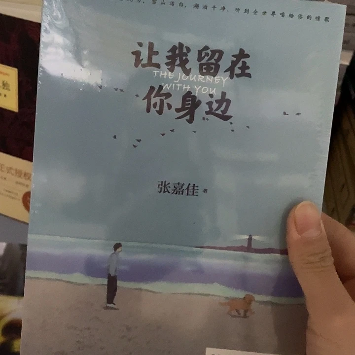 让我留在你身边  平装带塑封