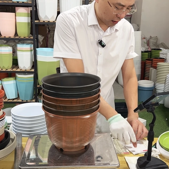 4*05585微瑕口21高15混色6只无托