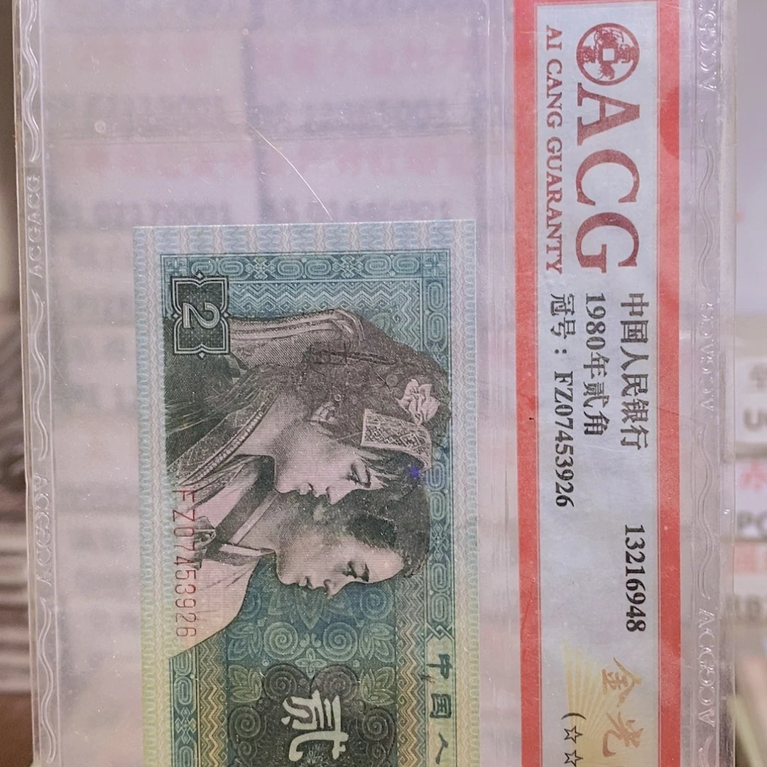 GT29675578 23 19 73四张 纤丝