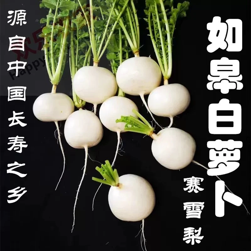 如皋白萝卜新鲜现挖现发5斤装