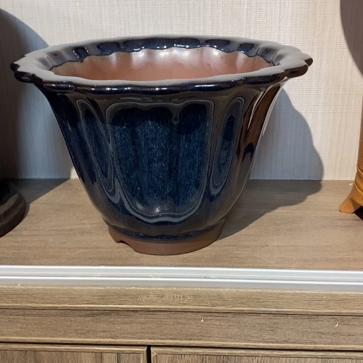 紫砂花盆太*福利来啦