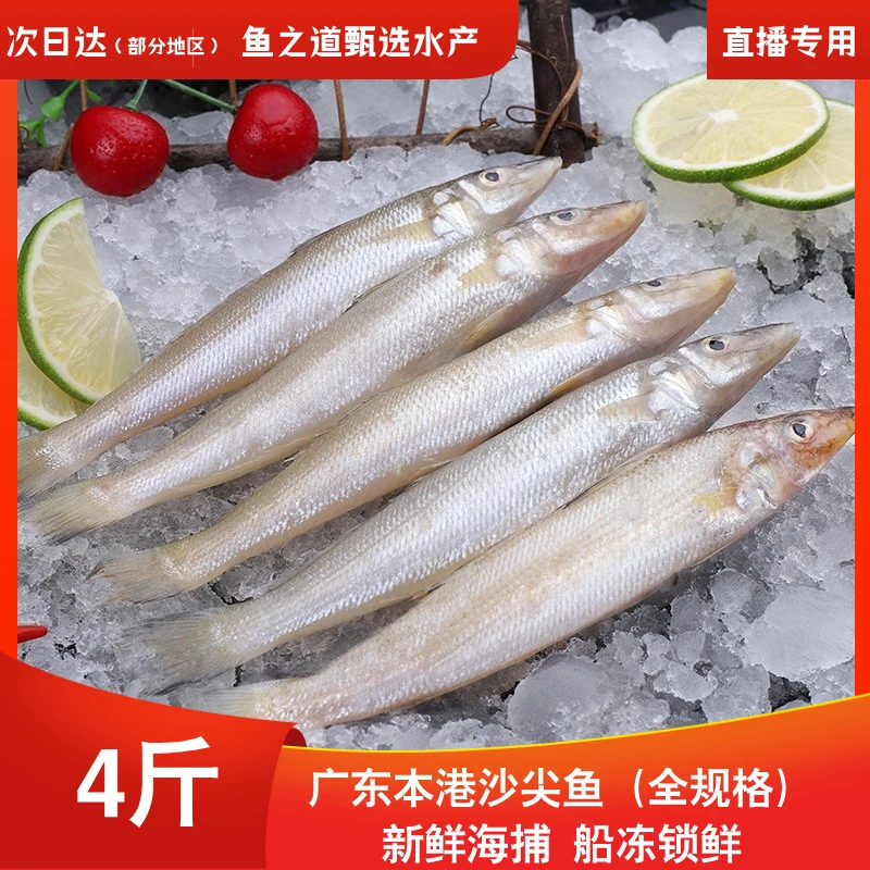 （直播专用）顺丰真空包装4斤野生深海沙尖沙丁梭子鱼低脂高蛋白