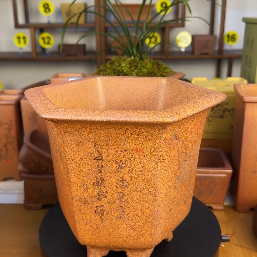 紫砂花盆青**章紫砂花盆