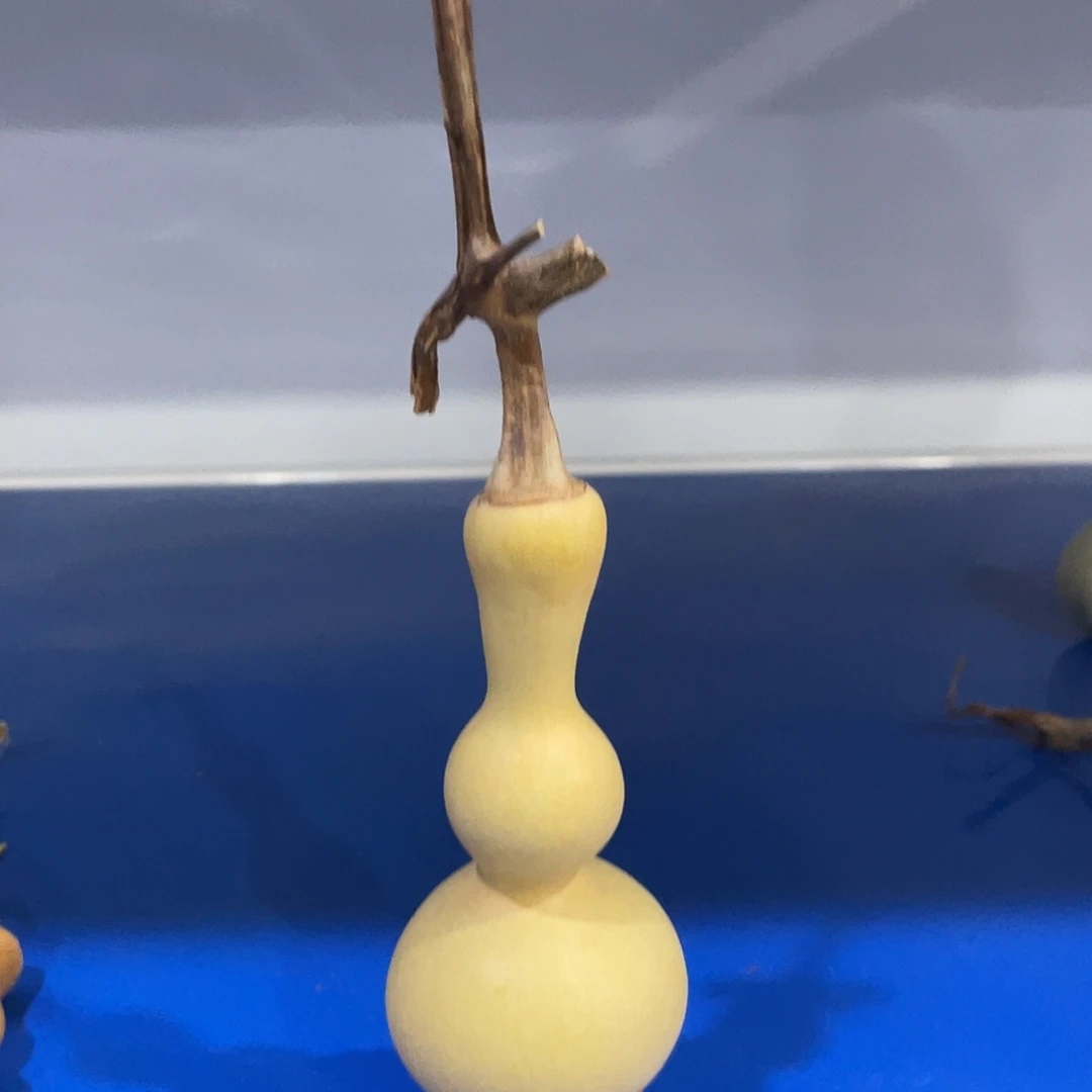 过恍恍惚惚过好几集