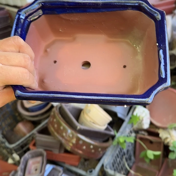 你就在家里待不着啦哈你