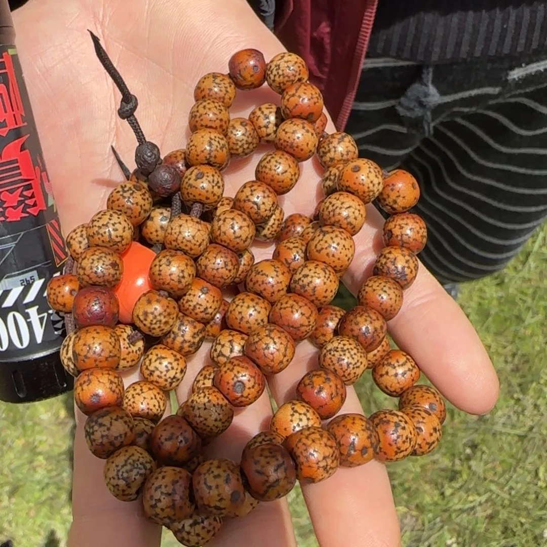 柏香籽/百香籽吊坠徐***车藏弟出品，菩提999