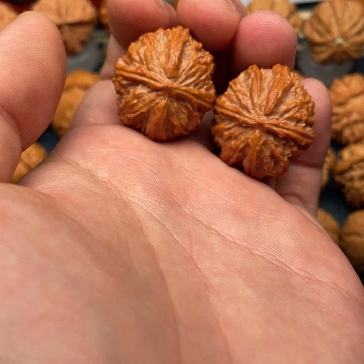 文玩核桃把件暴龙