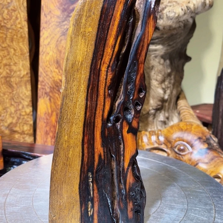 幸***园香榧木微凹木木木木木木