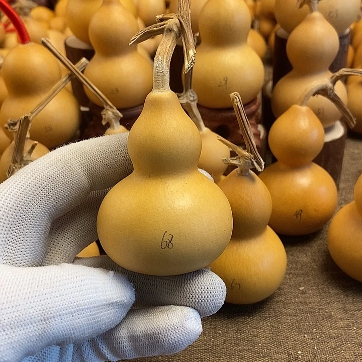 文玩葫芦 完美主义者 慎拍68