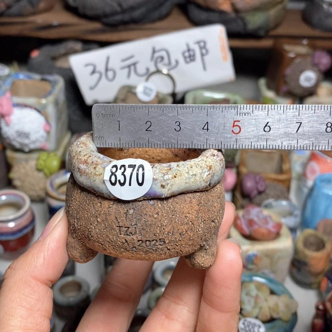 j**c拍3送一个小礼物