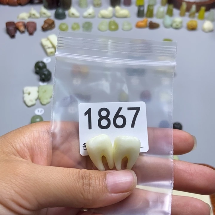 齐***l未镶嵌蛇纹石玉颈饰