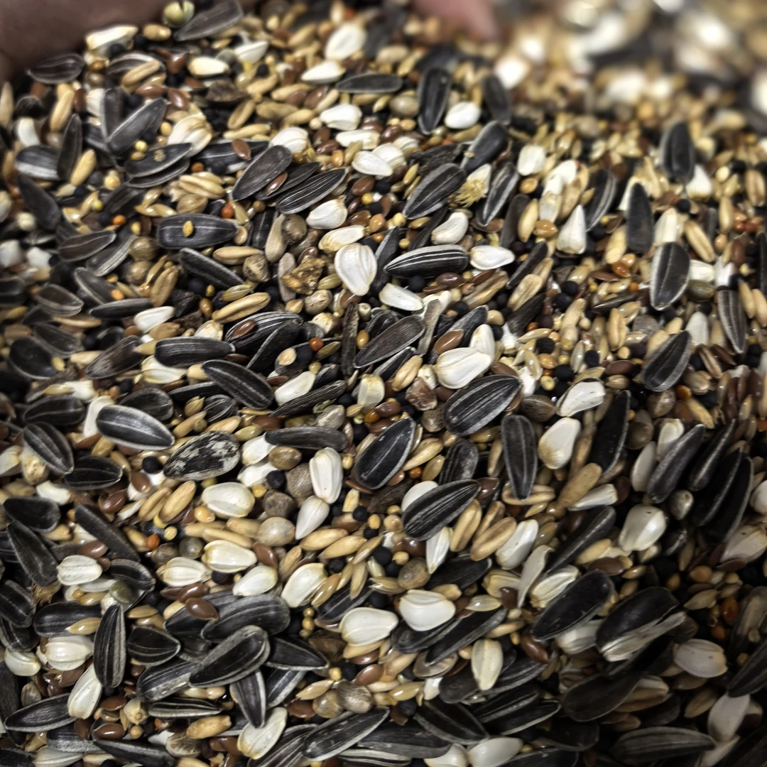 九合一混合种子粮小太阳金太阳和尚玄凤中小鹦鹉增肥增重鸟食