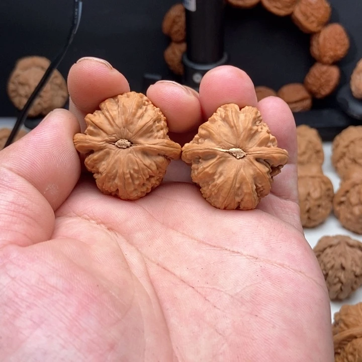 把件文玩核桃杨*洋白狮子34.2