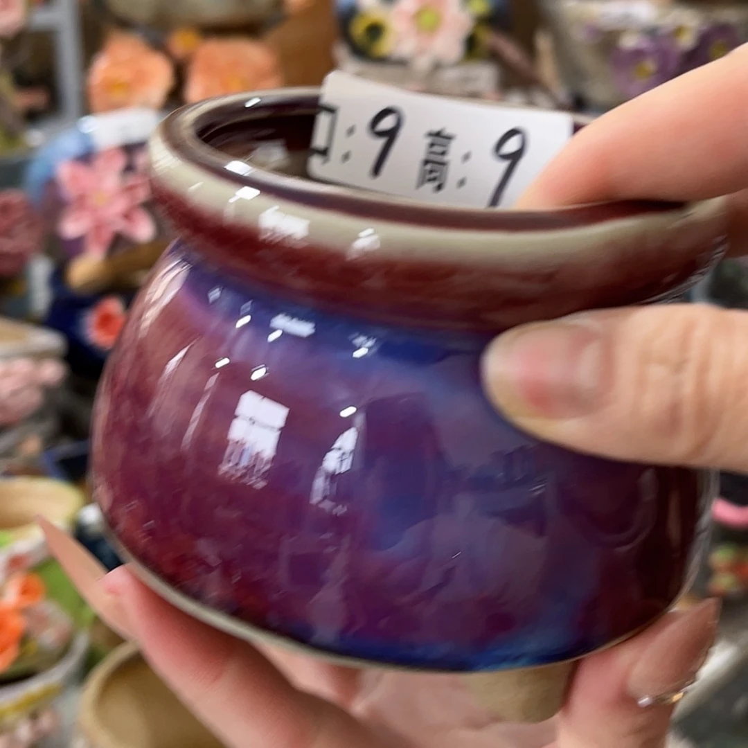 【闪购商品】红陶福利