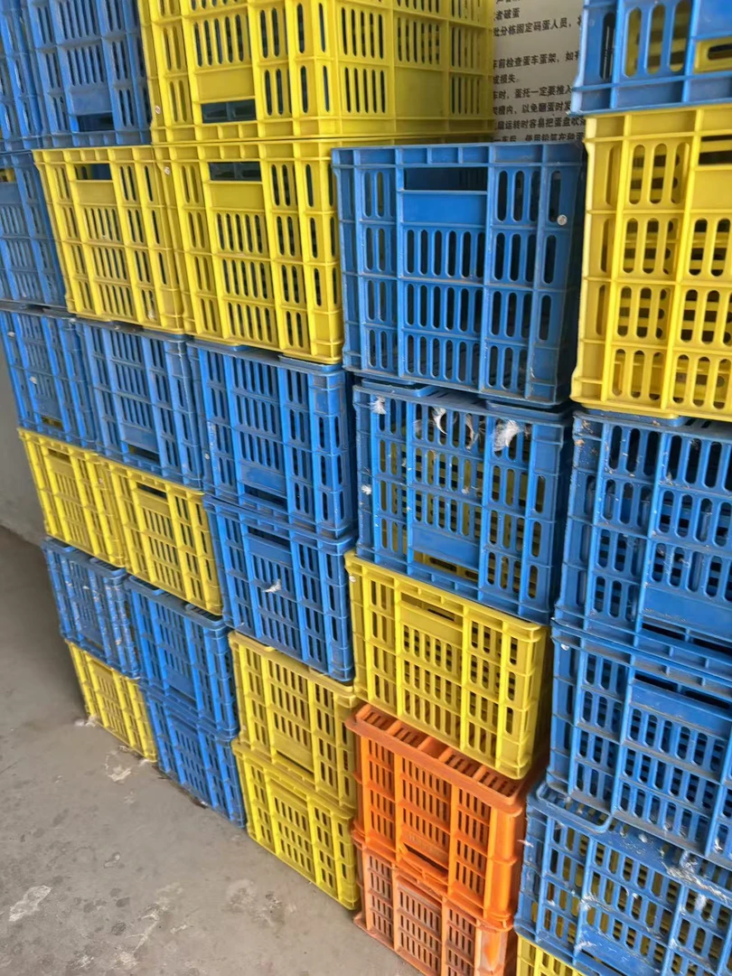 家禽运输蛋 顺丰包邮