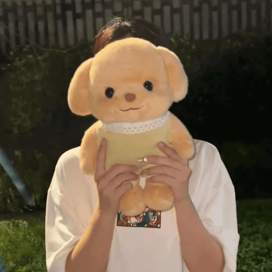 【高品质】【现货】森贝儿玩偶大号贵宾犬毛绒玩具娃娃闺蜜七夕礼物