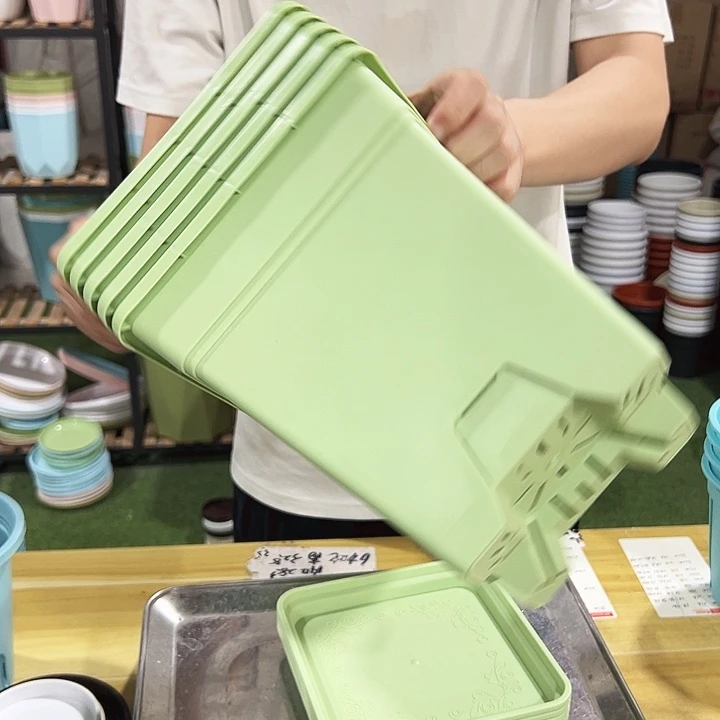 正品方盆口20高22果绿带托5只