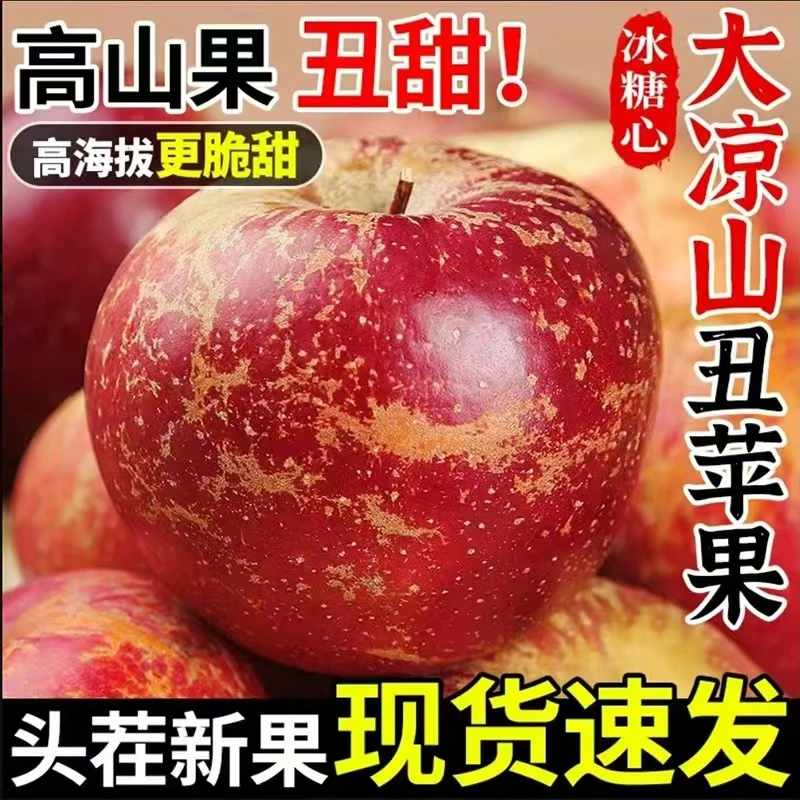 【正宗四川大凉山】盐源丑苹果新鲜多汁、现摘自家果园大凉山丑水果