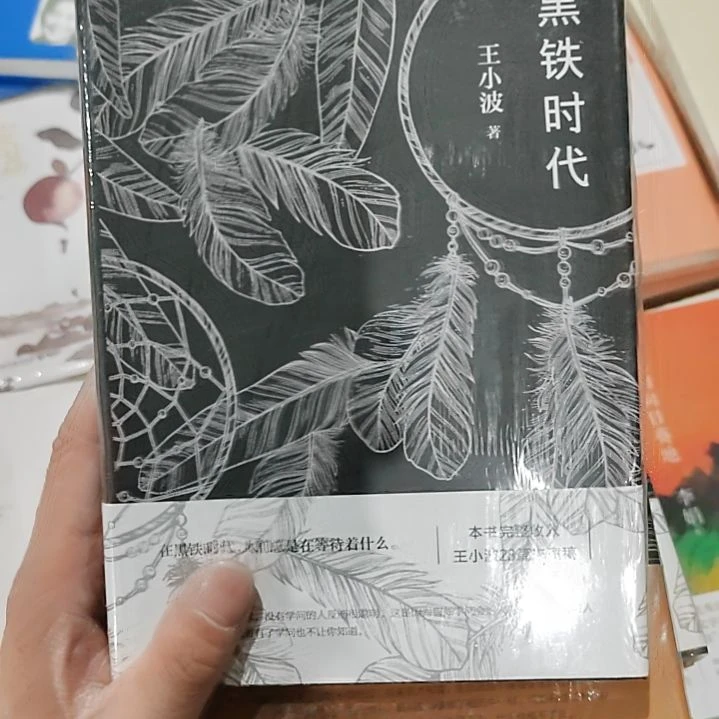 王小波黑铁时代黑铁时代