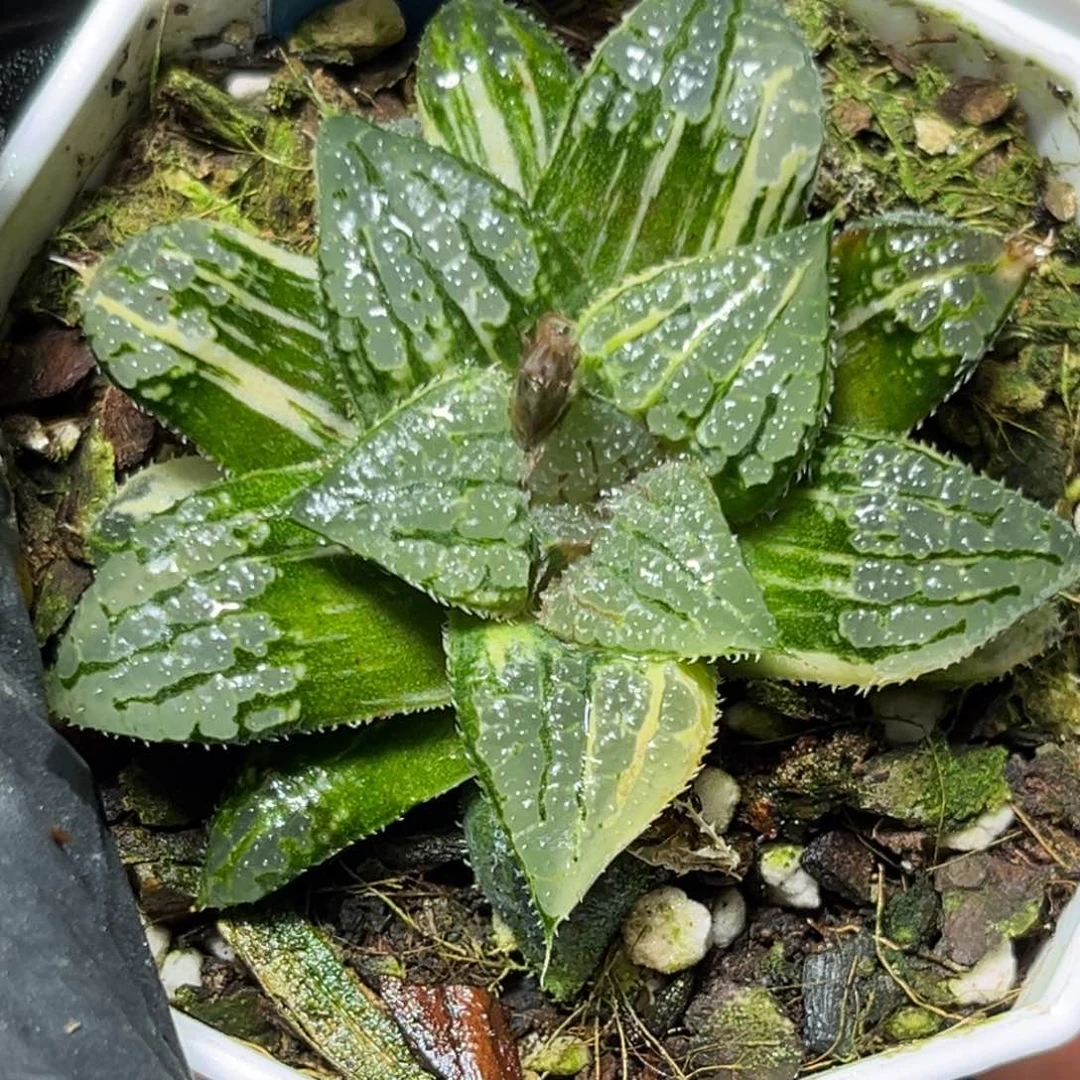 恭喜发财大吉大利882