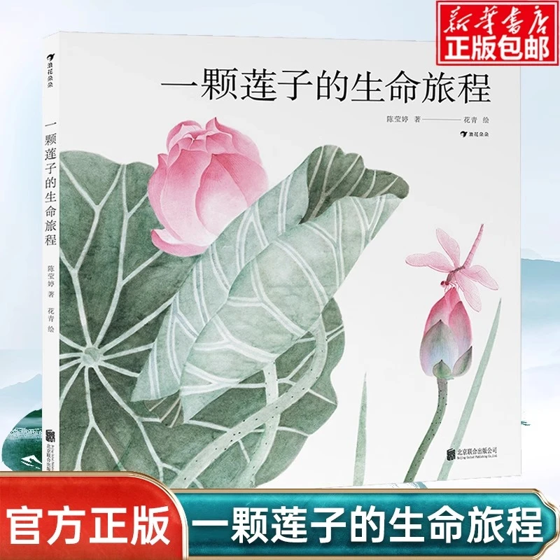 一颗莲子的生命旅程以国画绘出莲的生命轮回国风情怀自然科普绘本
