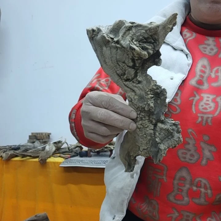 风车木（黑檀木）旺**行